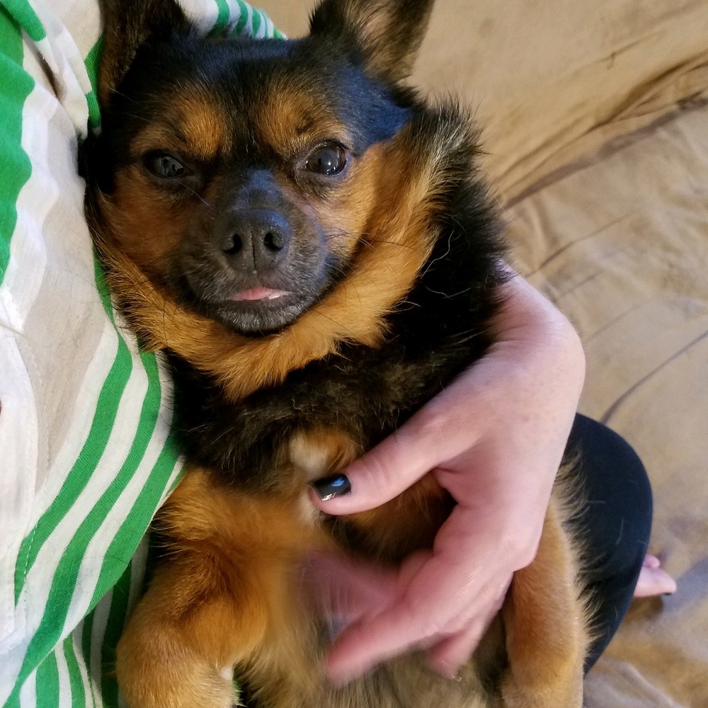 Meet your Posher, Kerry